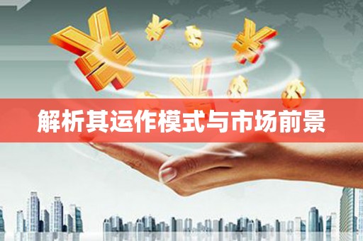 宁夏解析其运作模式与市场前景