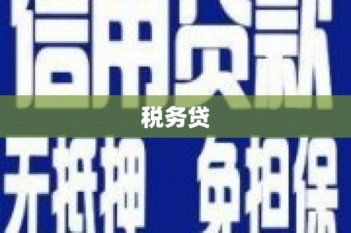 宁夏税务贷
