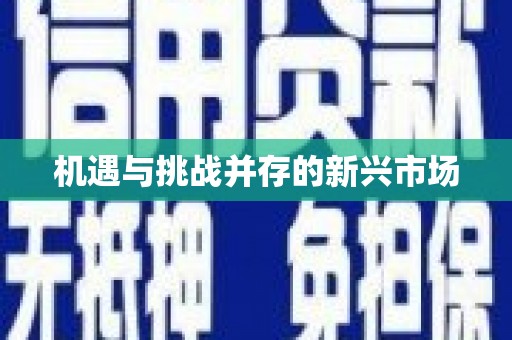 宁夏机遇与挑战并存的新兴市场