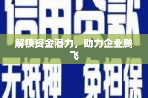 宁夏解锁资金潜力，助力企业腾飞