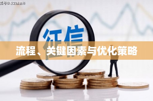 宁夏流程、关键因素与优化策略