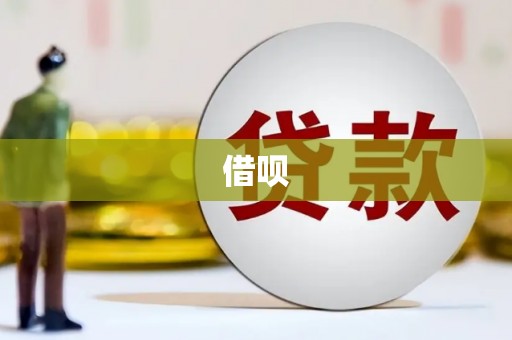 宁夏借呗