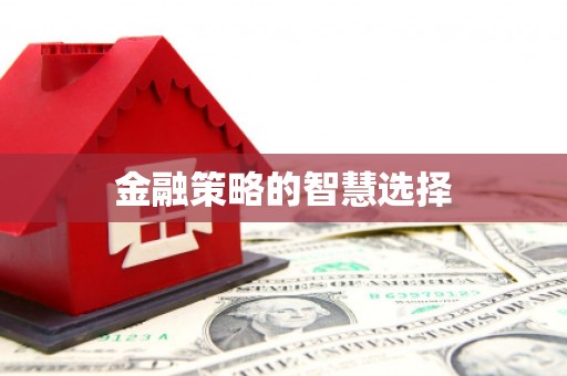 宁夏金融策略的智慧选择