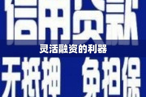 宁夏灵活融资的利器
