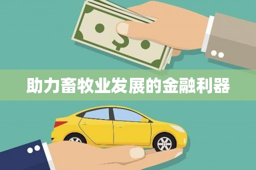 宁夏助力畜牧业发展的金融利器