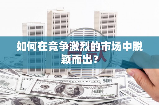 宁夏如何在竞争激烈的市场中脱颖而出？