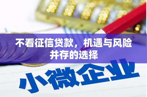 宁夏不看征信贷款，机遇与风险并存的选择