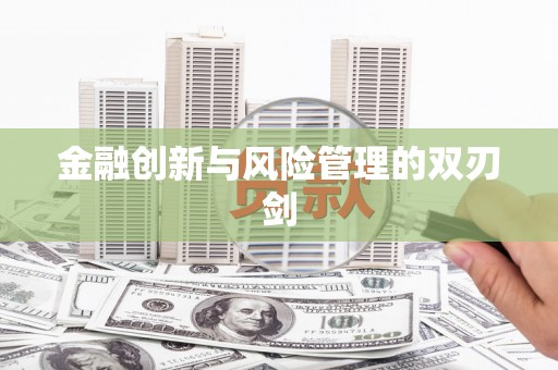 宁夏金融创新与风险管理的双刃剑