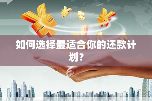 宁夏如何选择最适合你的还款计划？