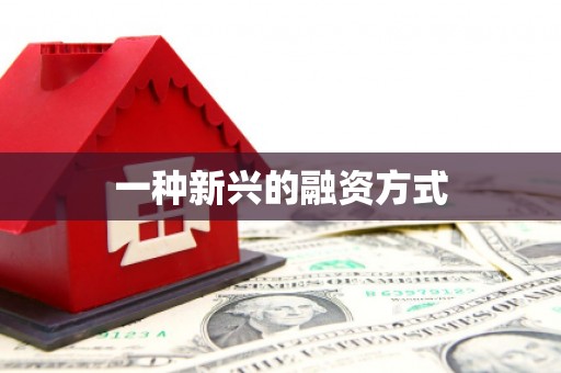 宁夏一种新兴的融资方式