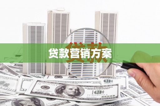 宁夏贷款营销方案