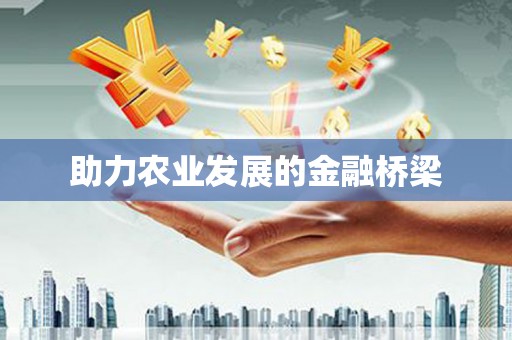 宁夏助力农业发展的金融桥梁