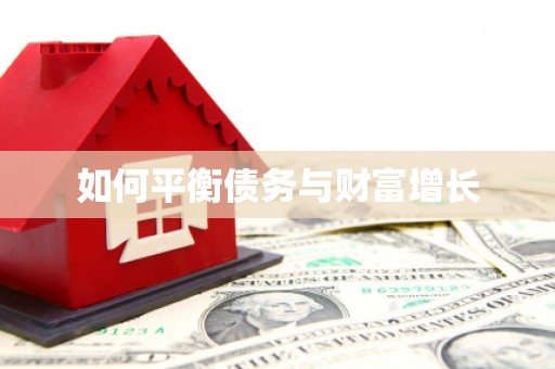 宁夏如何平衡债务与财富增长