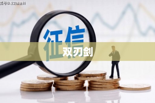 宁夏双刃剑