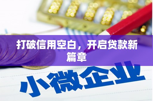 宁夏打破信用空白，开启贷款新篇章