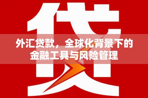 宁夏外汇贷款，全球化背景下的金融工具与风险管理